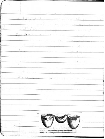 mell52.pdf